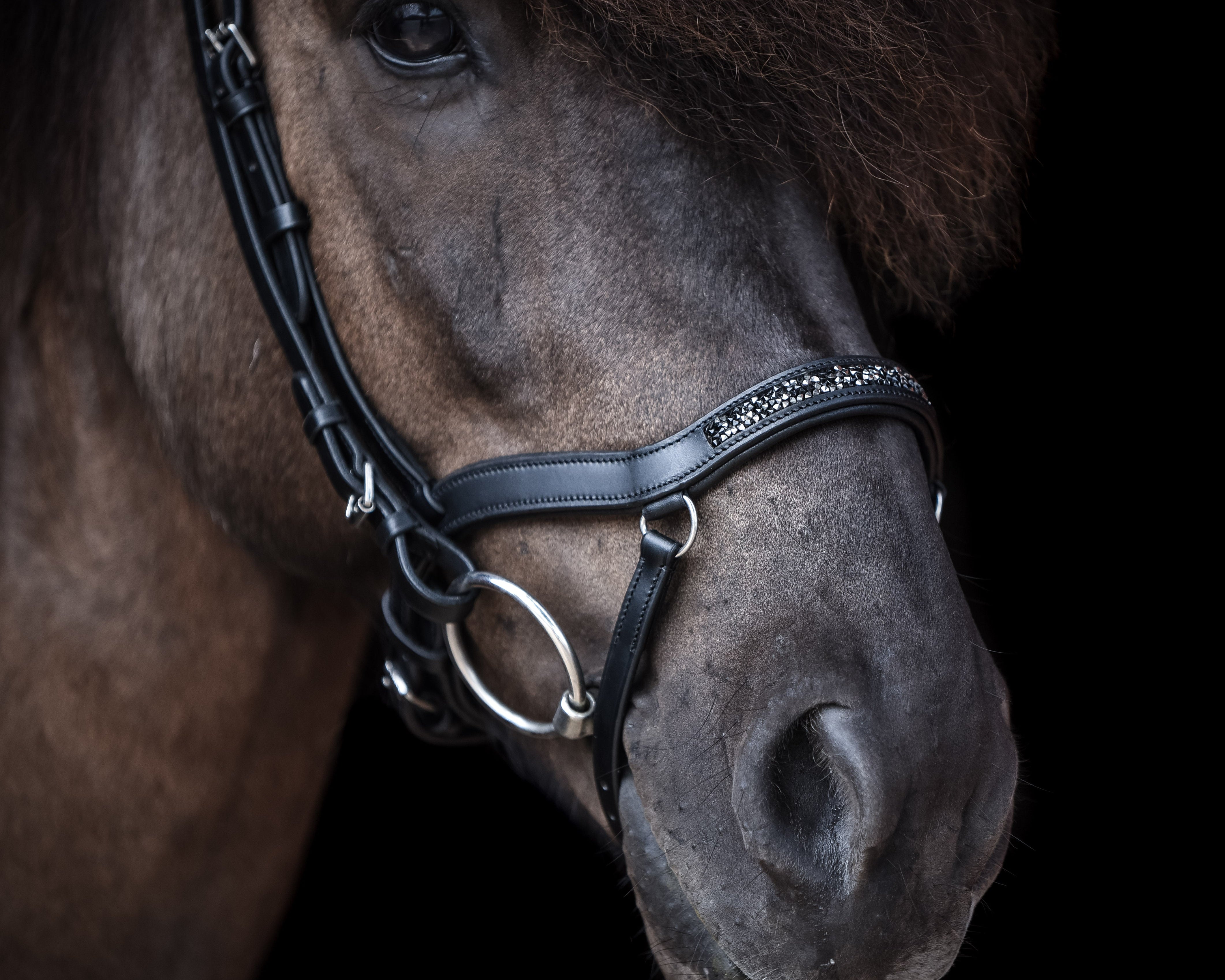 Anatomische Nasenriemen