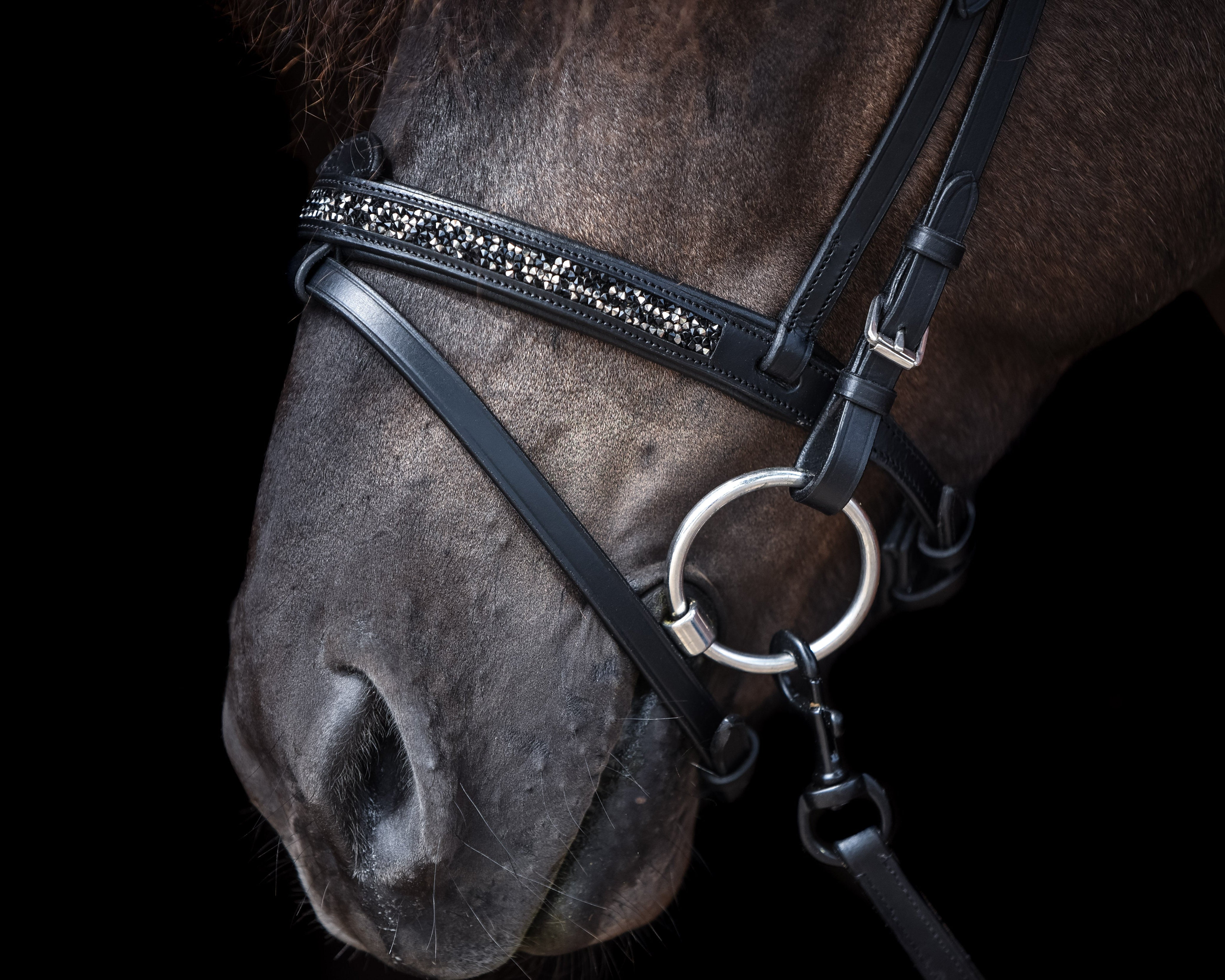 Englisch kombinierte Nasenriemen