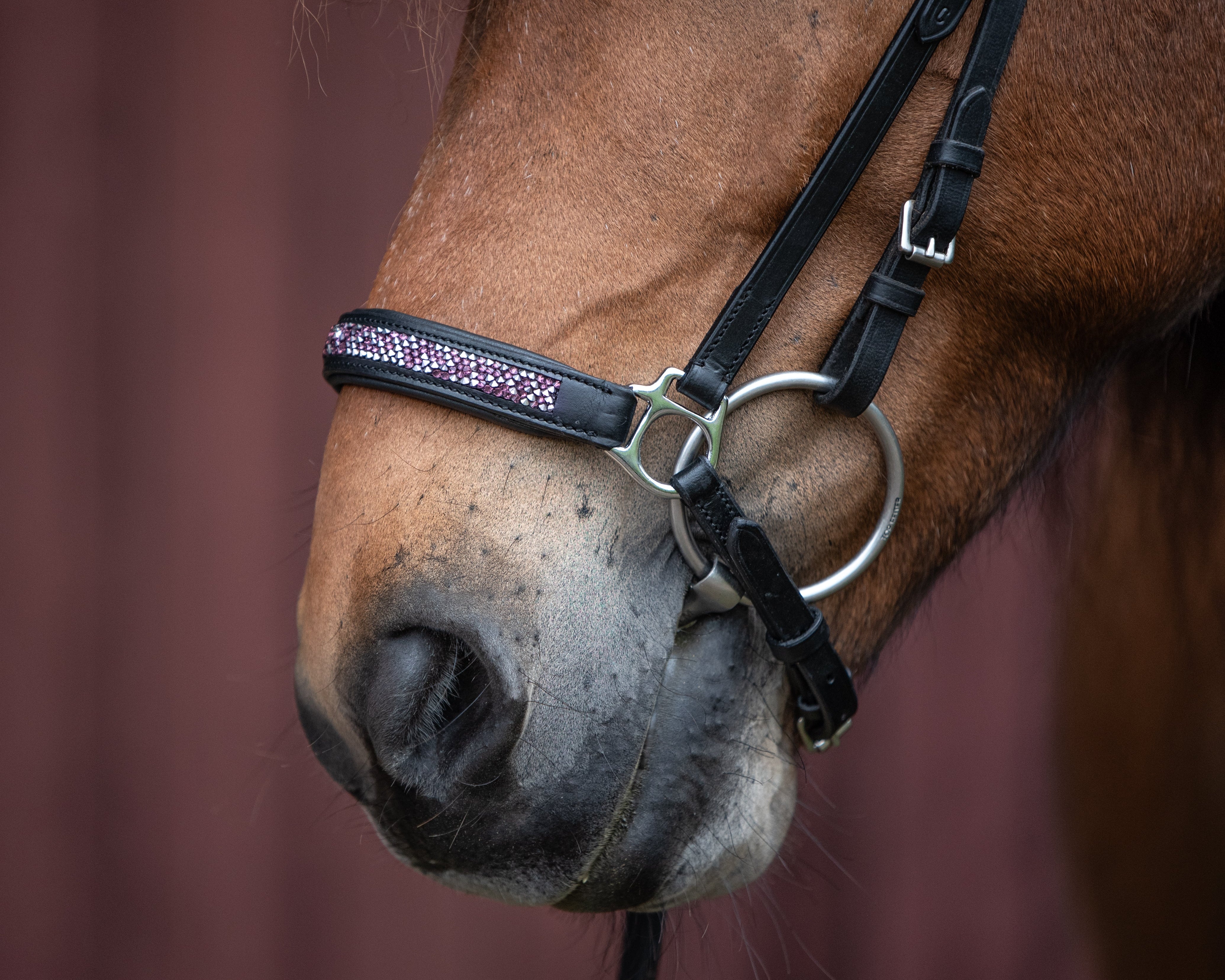 Hannoversche Nasenriemen