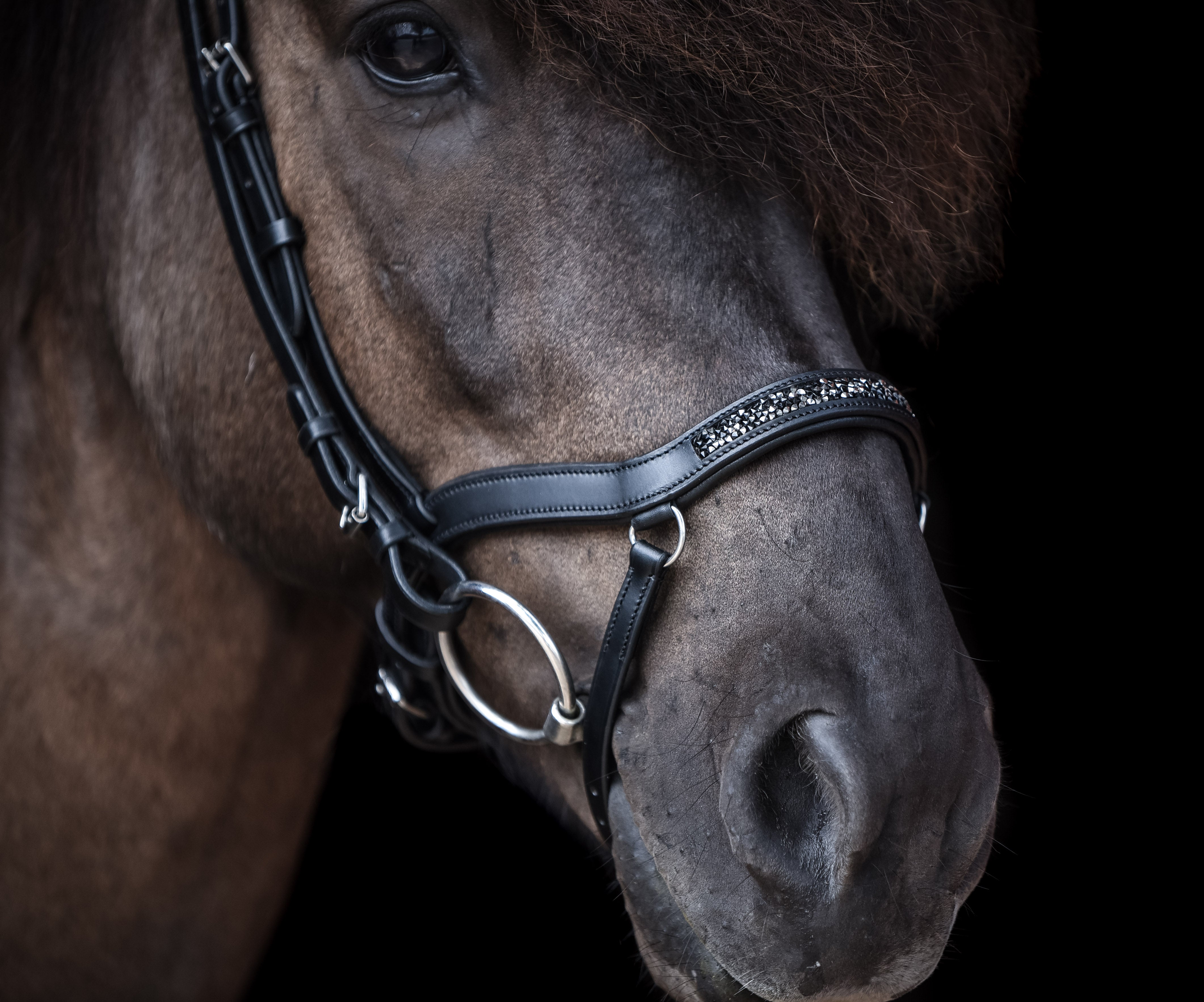 Anatomische Nasenriemen