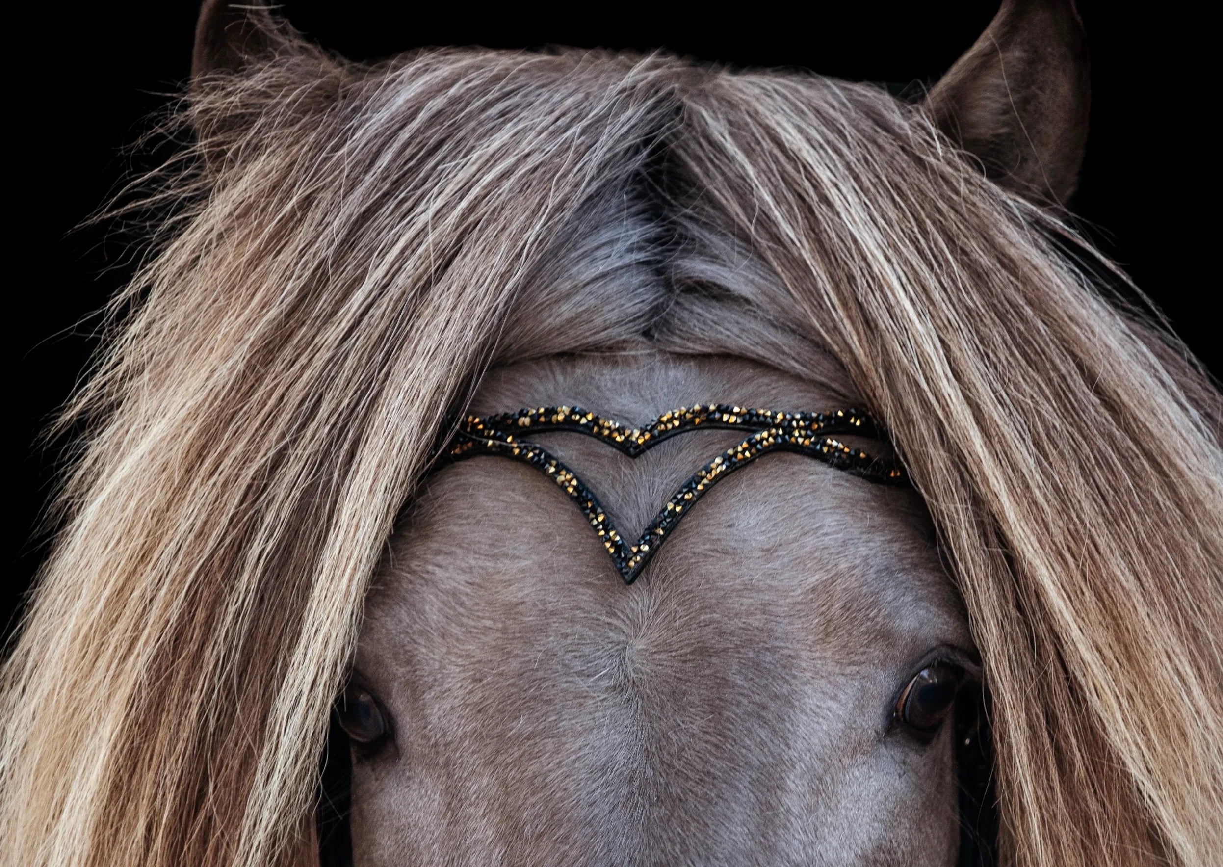 Anatomische Trensen Hjarta