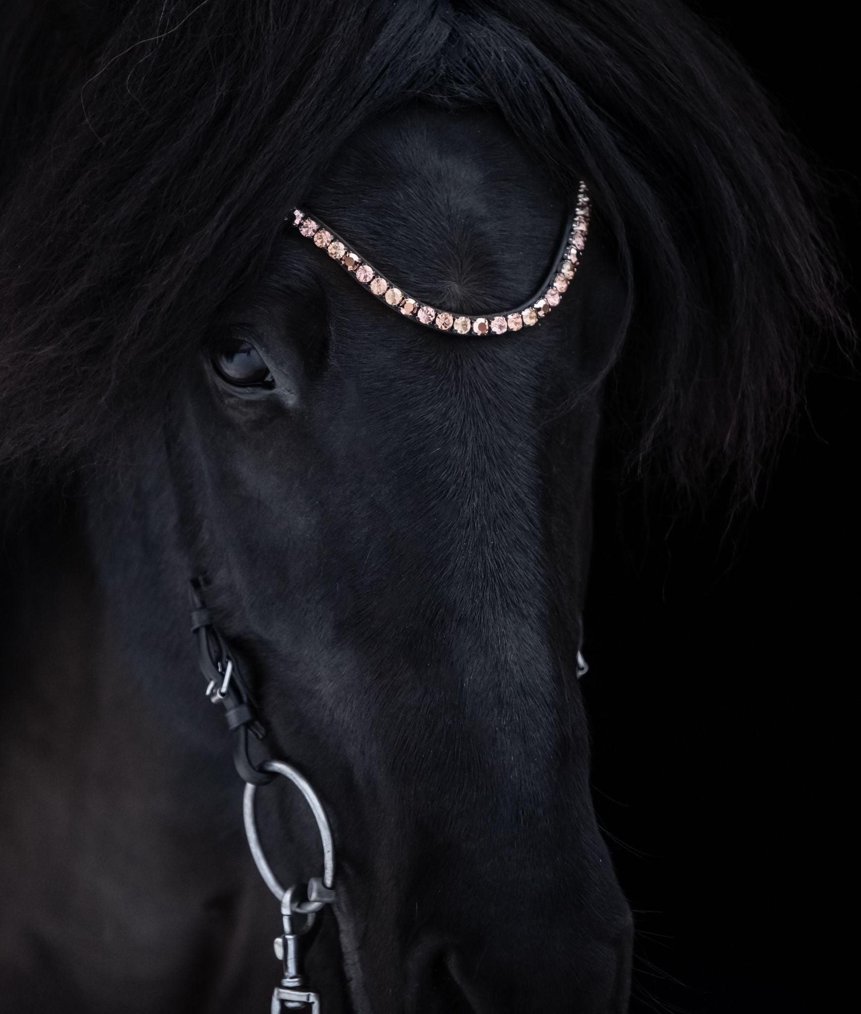 Anatomische Trensen Tindra