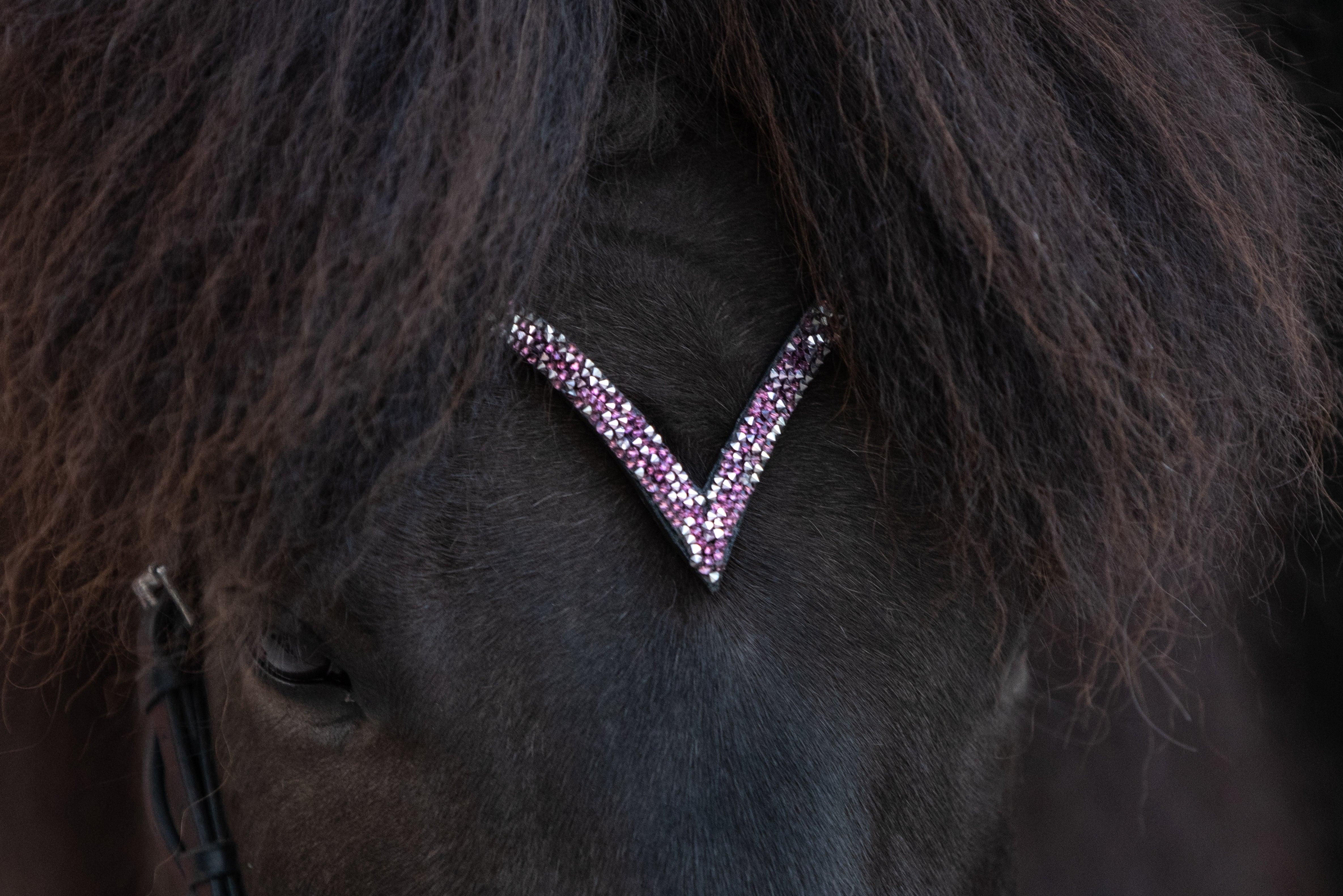 Anatomische Trensen V-Stirnriemen